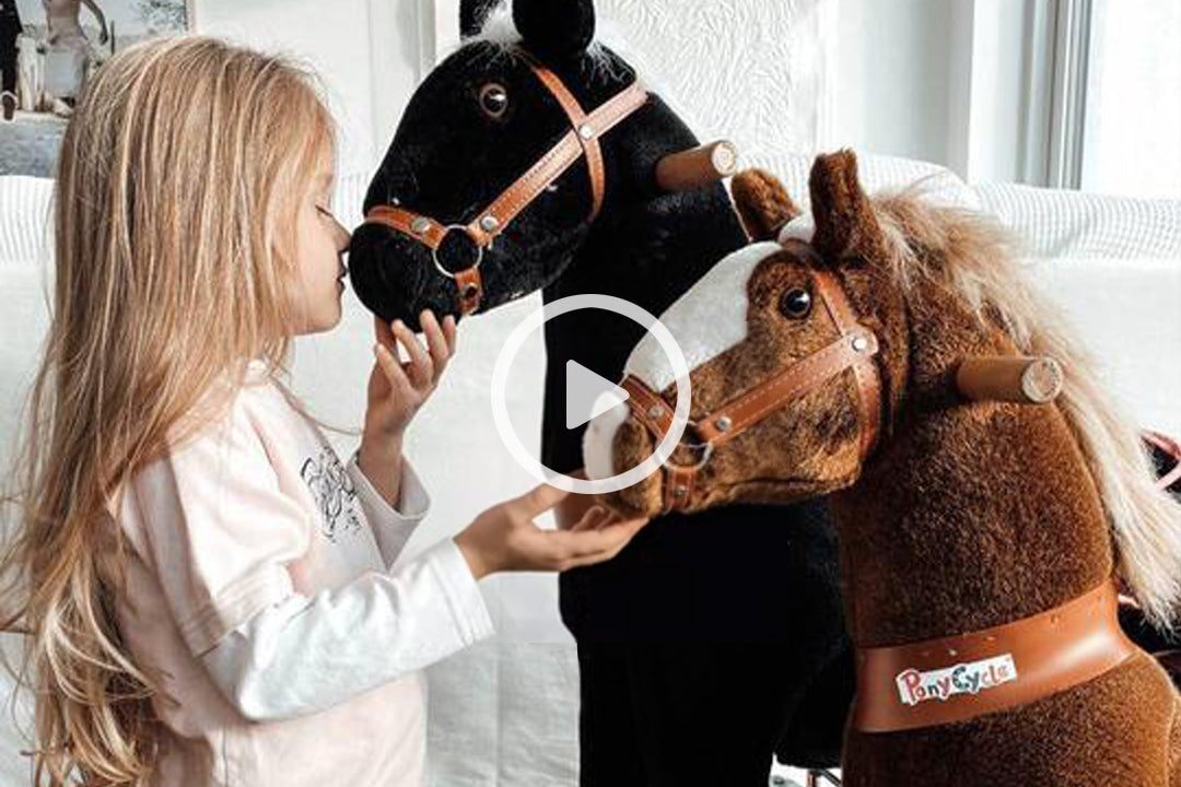 PonyCycle® Best Gift