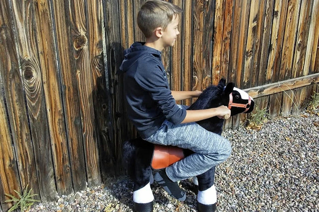PonyCycle® Is The Toy You Wished For As A Kid