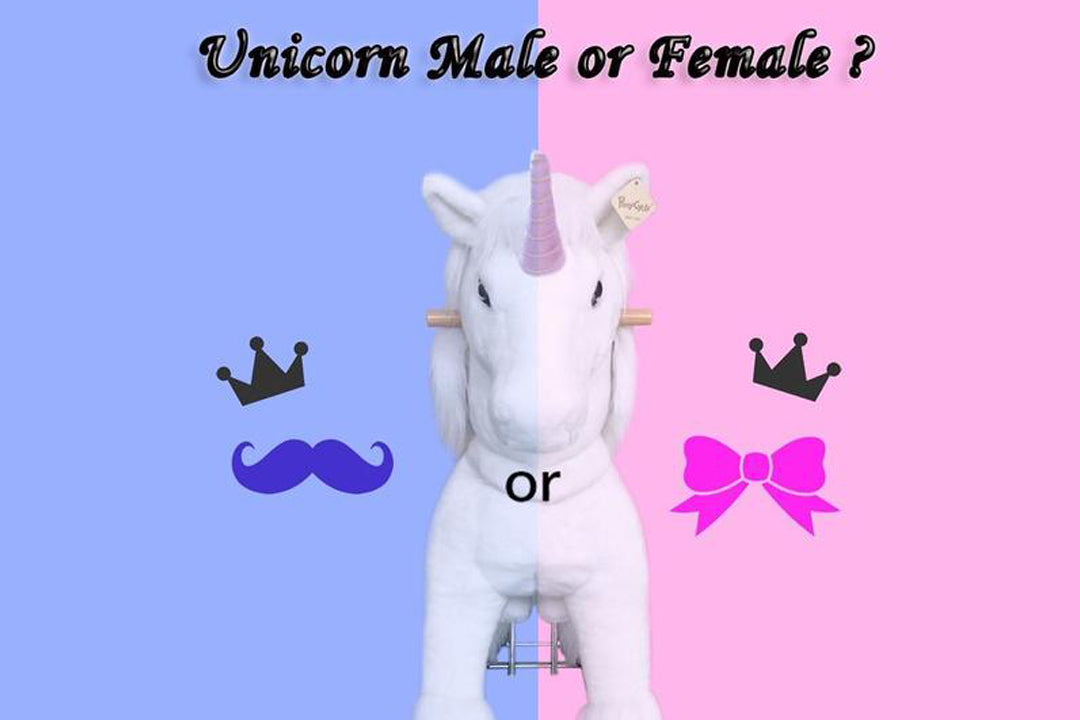 Do You Think Unicorn is Male or Female?