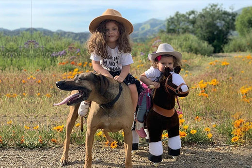 How does the PonyCycle® work？