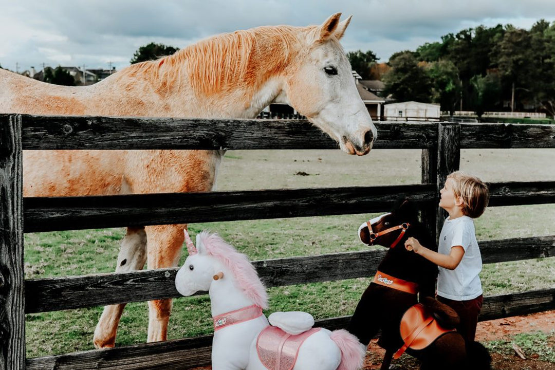 Take my new friends ride-on horse and unicorn toy to the horse farm