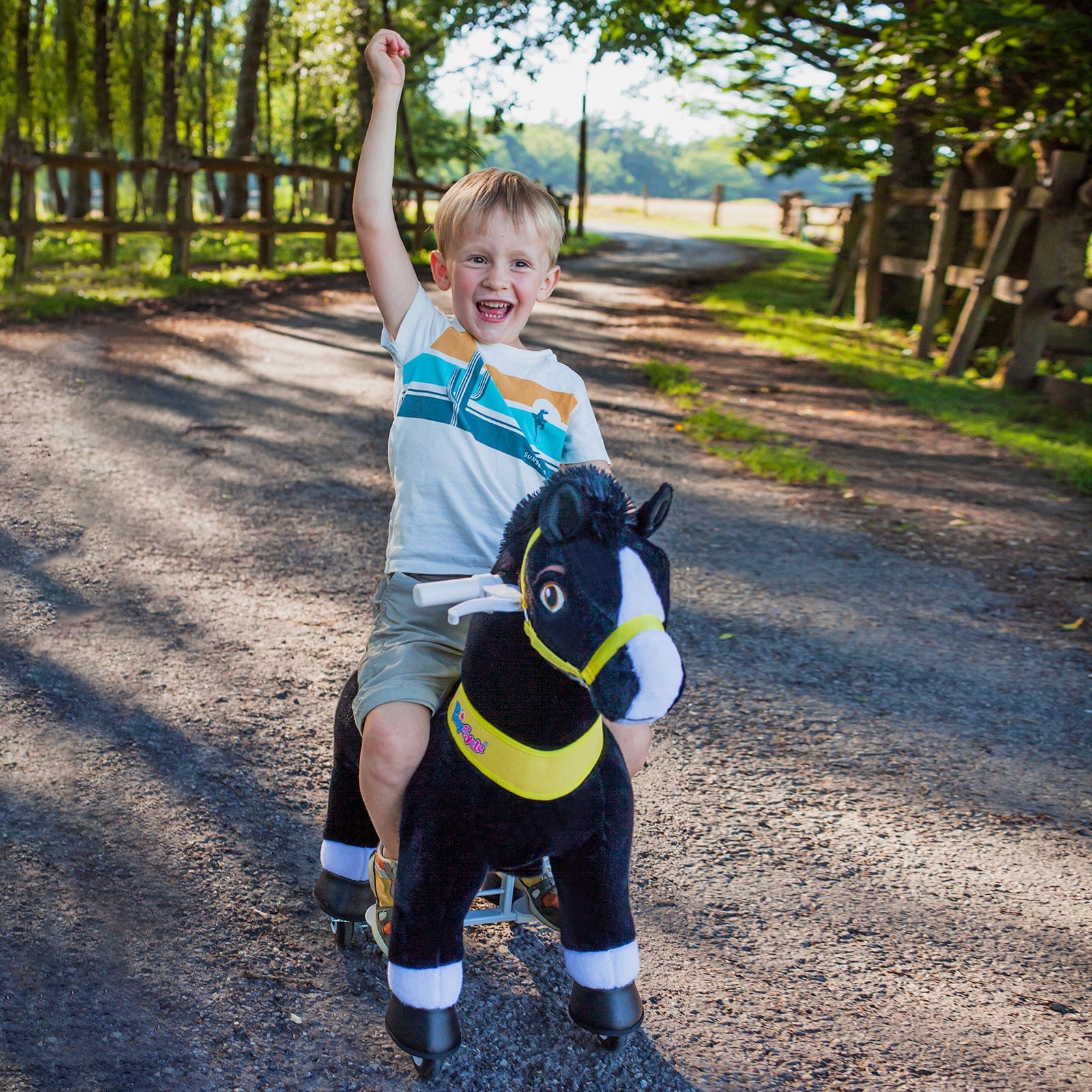 PonyCycle, Inc. Model E® Horse Ride-On Toy Age 3–4 – Black