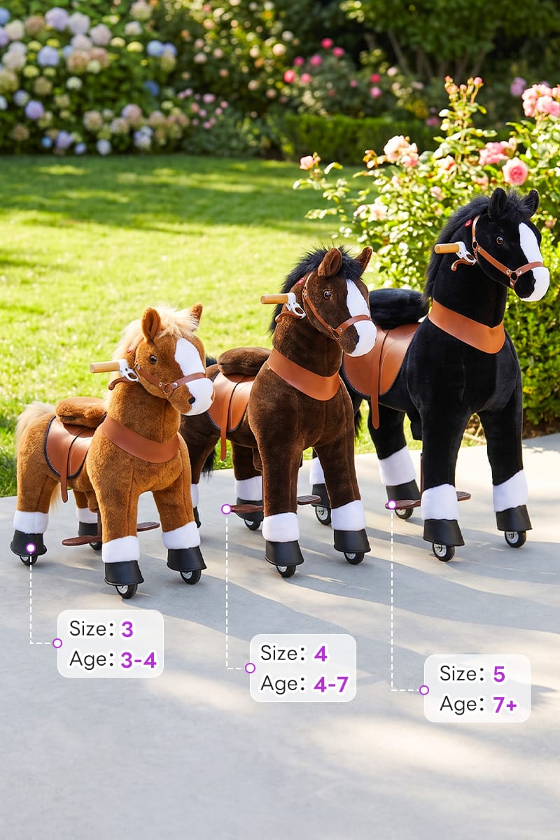 size 3, size 4 and size 5 horses with their age ranges