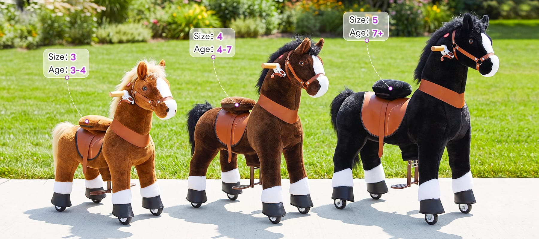 size 3, size 4 and size 5 horses with their age ranges