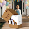 PonyCycle, Inc. Model X Riding Horse Toy for Age 3-4 Brown