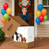 PonyCycle, Inc. Model X Horse Ride On Toy for Age 4-7 Brown